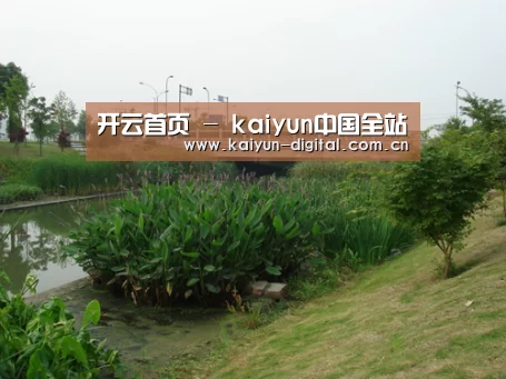 案例展示四(图1)