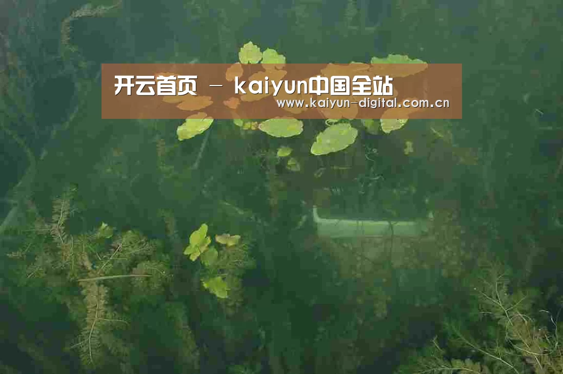 案例展示三(图1)