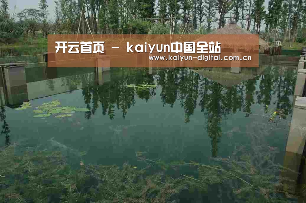 案例展示二(图1)