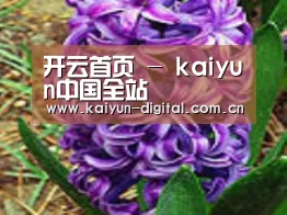 产品名称八